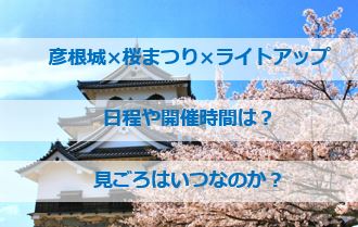 【彦根城 桜まつり 2020】ライトアップの期間は?見ごろはいつ?
