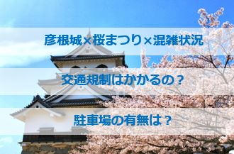 彦根城桜まつりの混雑状況!交通規制は?駐車場はあるのか?
