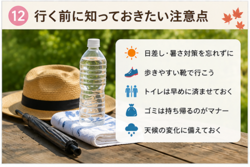葵祭に行く前の注意点をまとめた画像。暑さ対策や歩きやすい靴、天候対策を案内。